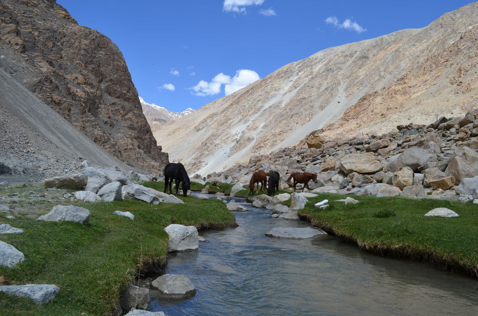 Photo of The Leh Experience 12/16 by Ishank Ahuja