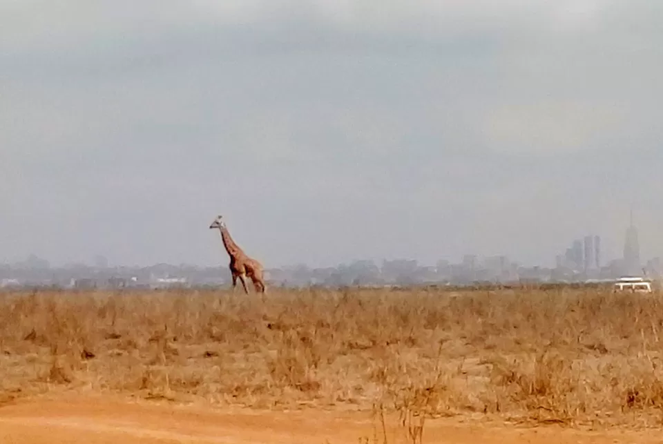 Photo of Discover the wild amidst the city at Nairobi National Park #photosabroad by Sumi