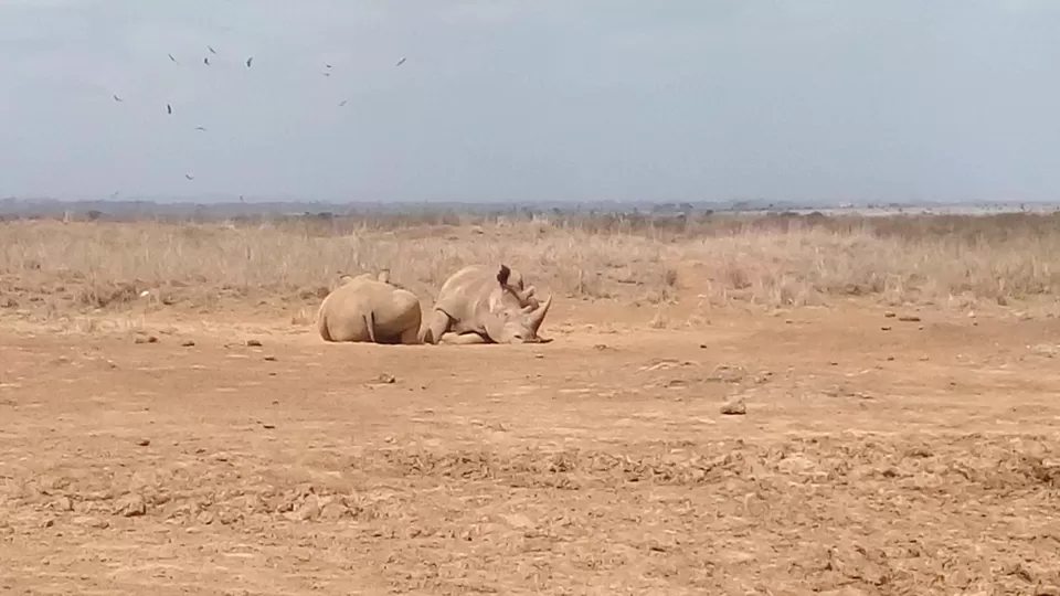 Photo of Discover the wild amidst the city at Nairobi National Park #photosabroad by Sumi