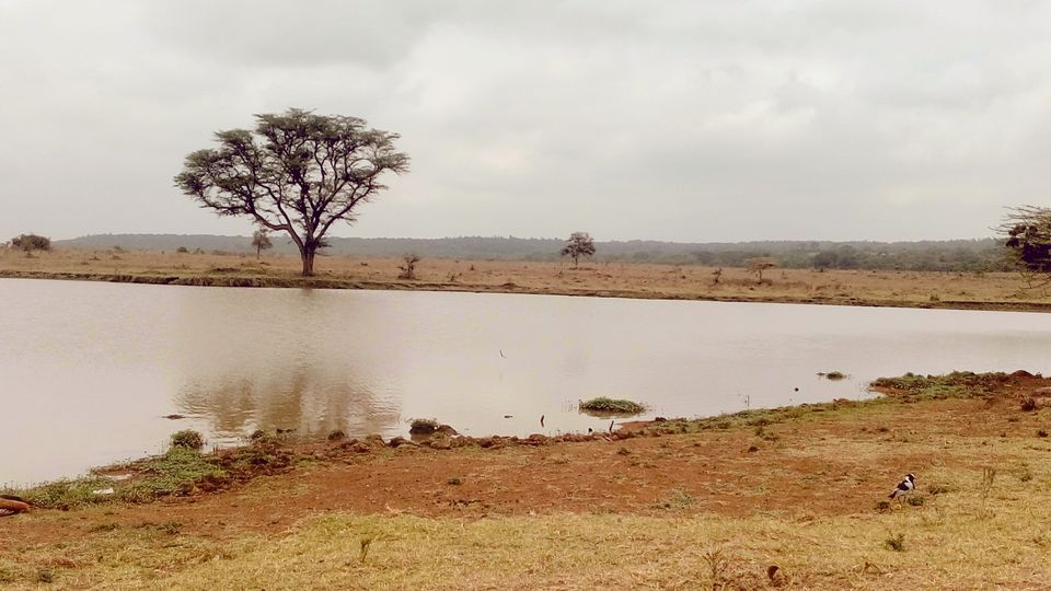 Photo of Discover the wild amidst the city at Nairobi National Park #photosabroad by Sumi