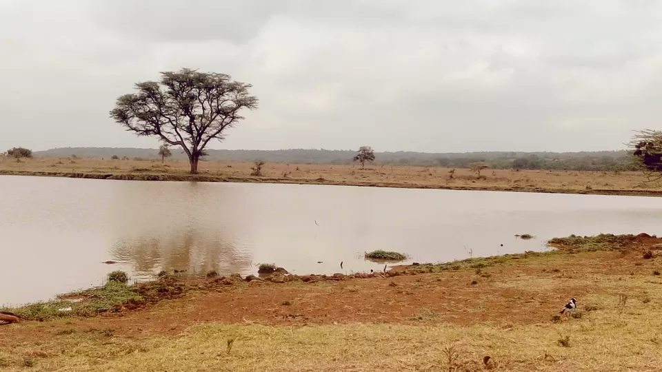Photo of Discover the wild amidst the city at Nairobi National Park #photosabroad by Sumi