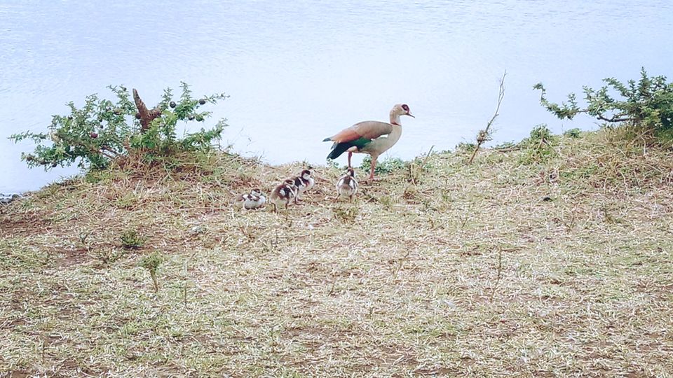 Photo of Discover the wild amidst the city at Nairobi National Park #photosabroad by Sumi