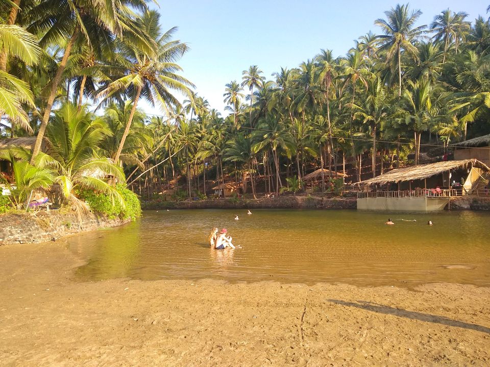 Photo of Away from chaos at Palolem, South Goa. by Sumi