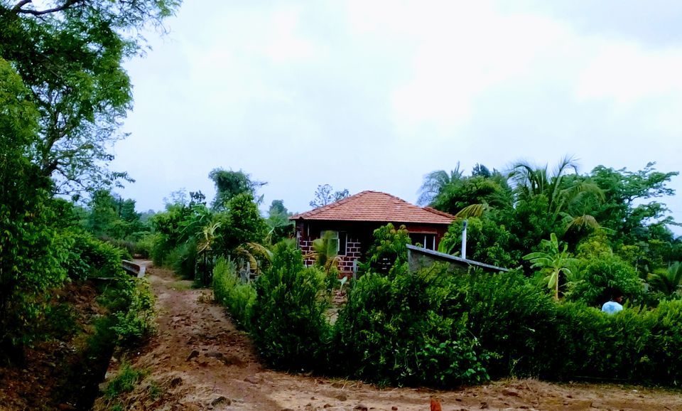 Photo of Relax and Unwind at this perfect haven amidst nature 1/1 by Sumi
