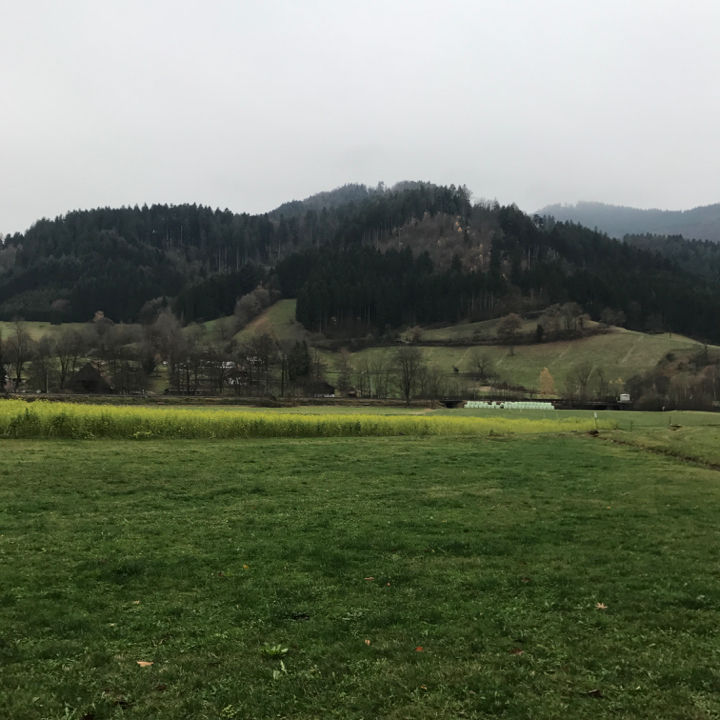 Photo of Gutach (Schwarzwaldbahn) by Muhajir Omar