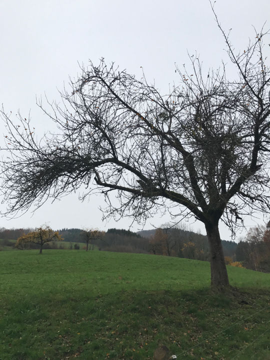 Photo of Gutach (Schwarzwaldbahn) by Muhajir Omar