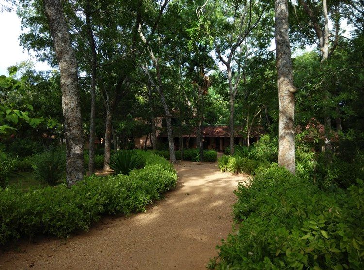 Photo of Auroville 21/24 by Mayank Jain