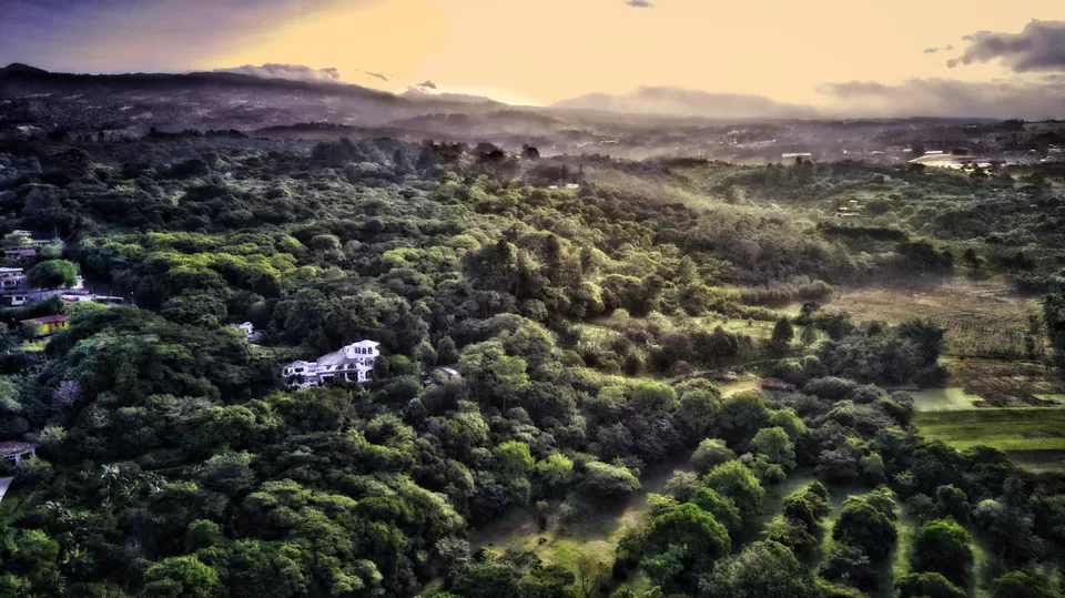 Photo of #HiddenSpotsTripoto A unique Coffee Cupping experience in Costa Rica by Davey Long