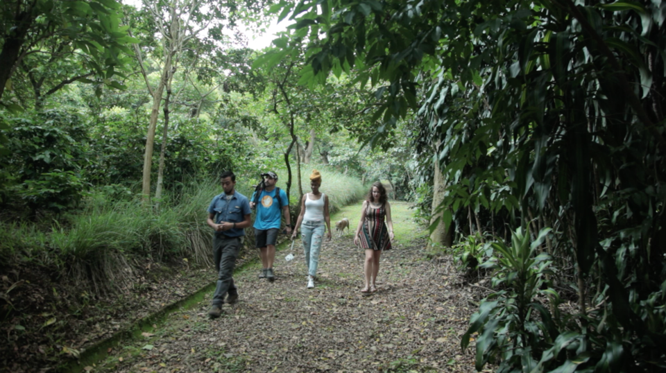 Photo of #HiddenSpotsTripoto A unique Coffee Cupping experience in Costa Rica by Davey Long