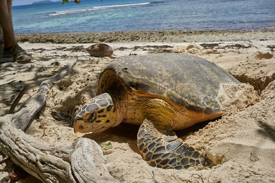 Photo of #HiddenSpotsTripoto The Beauty of Seychelles by Alfred Junco Betancourt