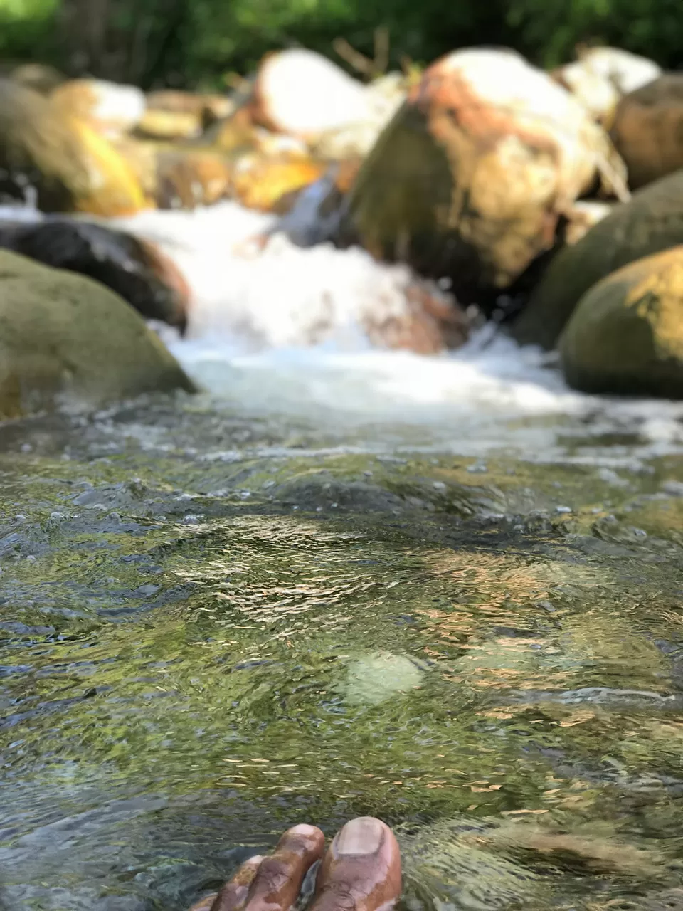 Photo of Miniana by Shahid