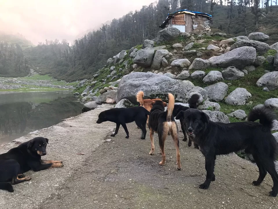 Photo of Himachal Pradesh by Shahid