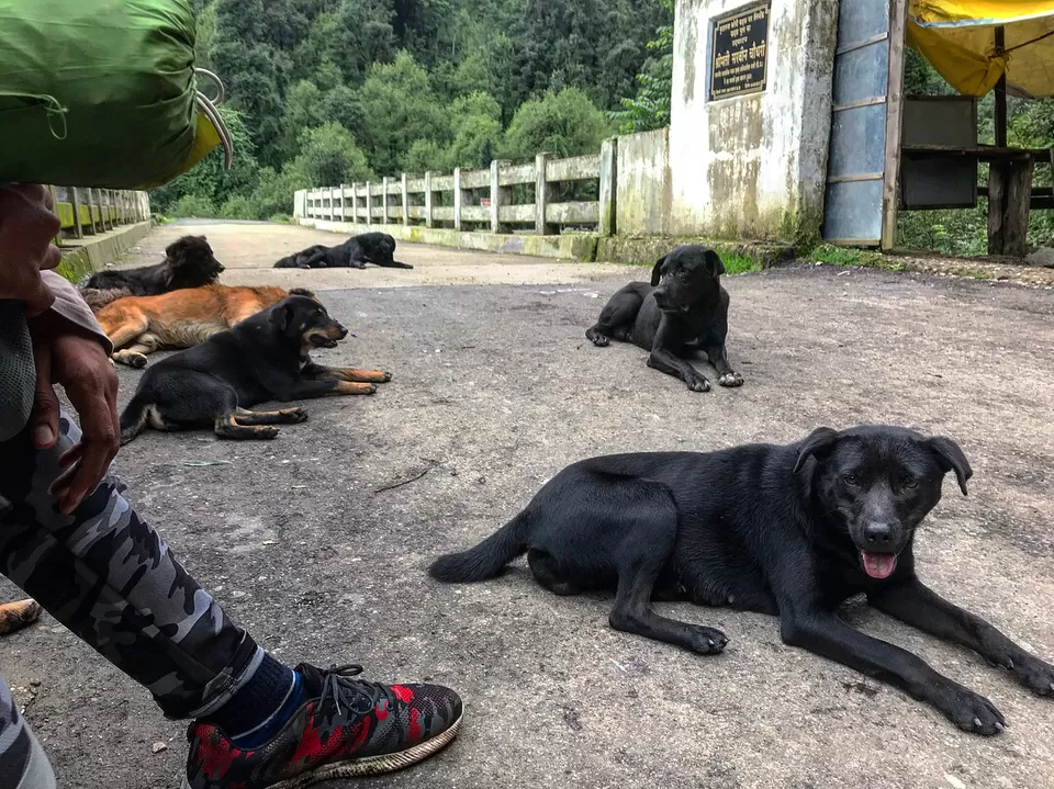 Photo of Kareri by Shahid