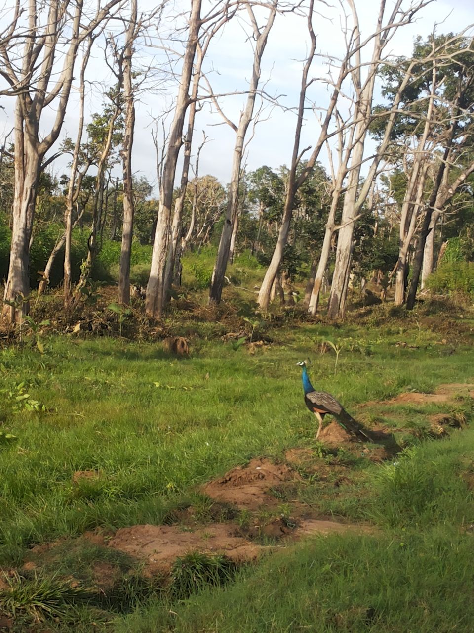 Photo of Ooty In A Nano? Are you serious right now? 15/15 by Shahid