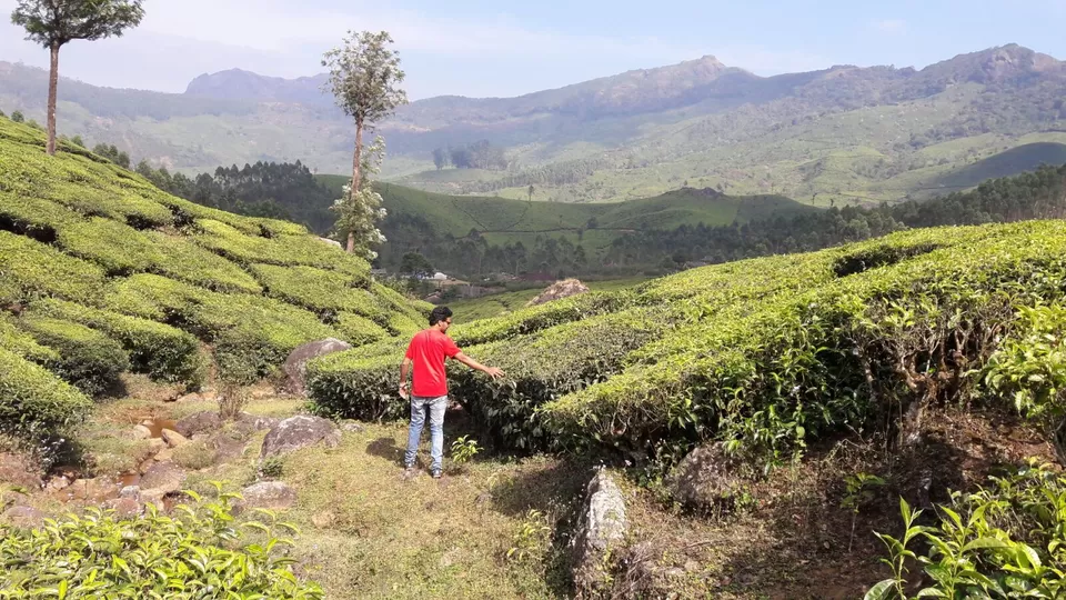 Photo of Munnar, Munnar, Kerala 685612, India by Shahid
