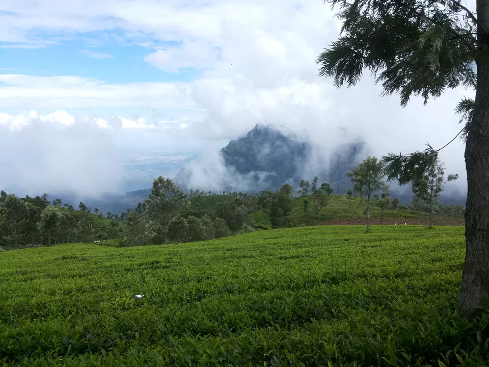 Photo of Coonoor, Coonoor, Tamil Nadu, India by Shahid