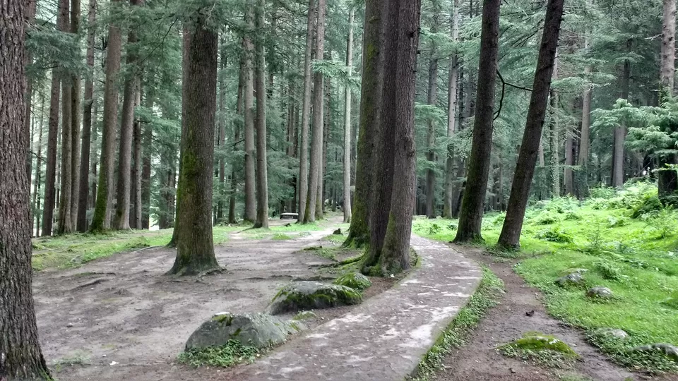 Photo of manali nature walk by Shahid