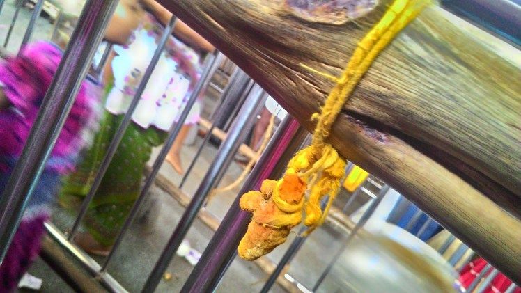 Photo of Samayapuram – The colorful temple for the Goddess of Rain! 3/6 by ArunaLakshmi Ramu
