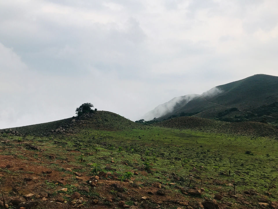 Photo of Mandalpatti Peak, Madikeri, Karnataka, India by attada karthik