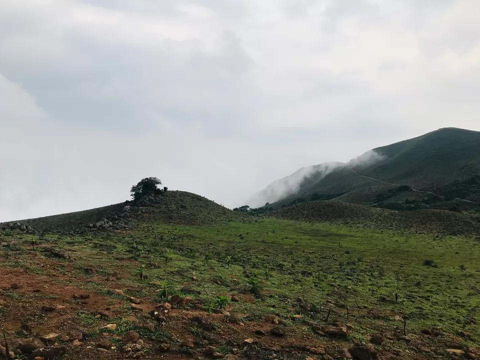 Photo of Mandalpatti Peak, Madikeri, Karnataka, India by attada karthik