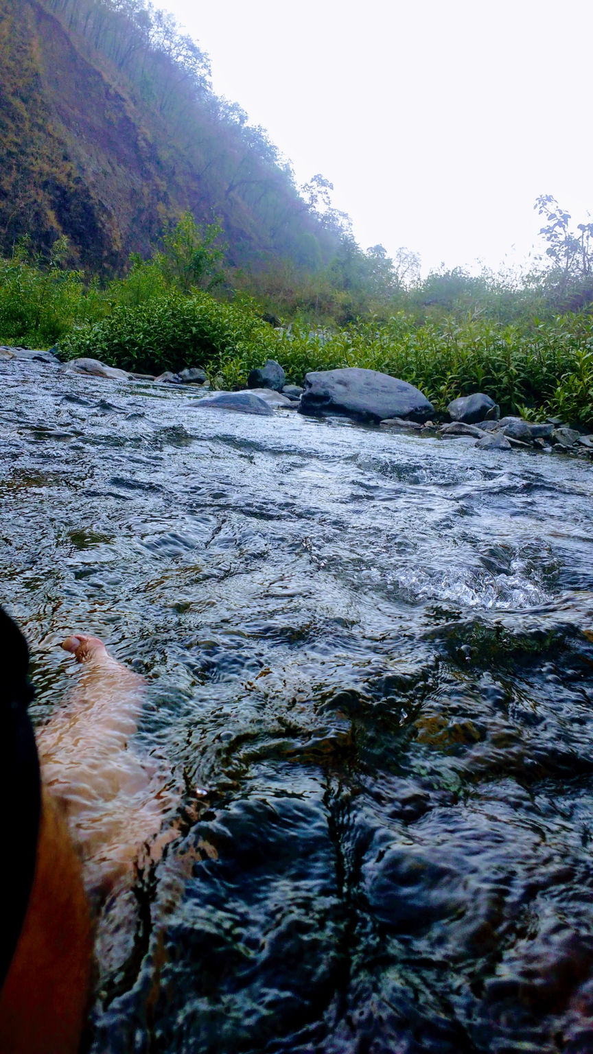 Photo of Hidden Camp Near Landsdowne by Shubham Jain