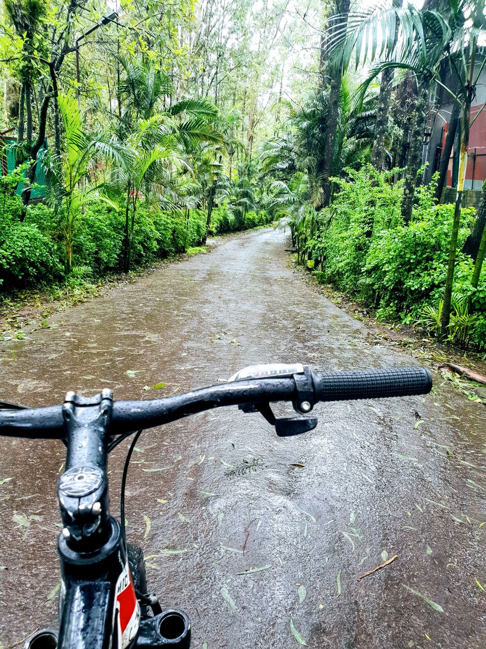 Photo of Solo bag-packing through Lonavala, Pune, Panchgani and Mumbai: Monsoon Gateway of Maharashtra by Ajit Sharma