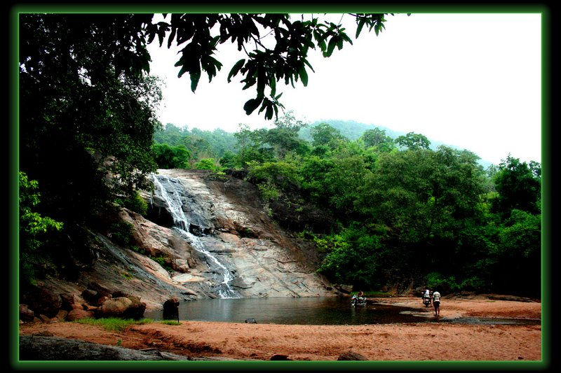 Photo of A small journey to TIKARAPADA wild life century. by Siva Prasad