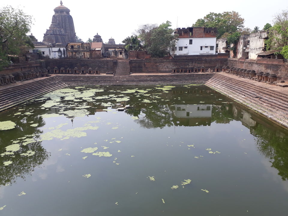 Photo of Debi Padahara Pond, Gouri Nagar, Old Town, Bhubaneswar, Odisha, India by Siva Prasad