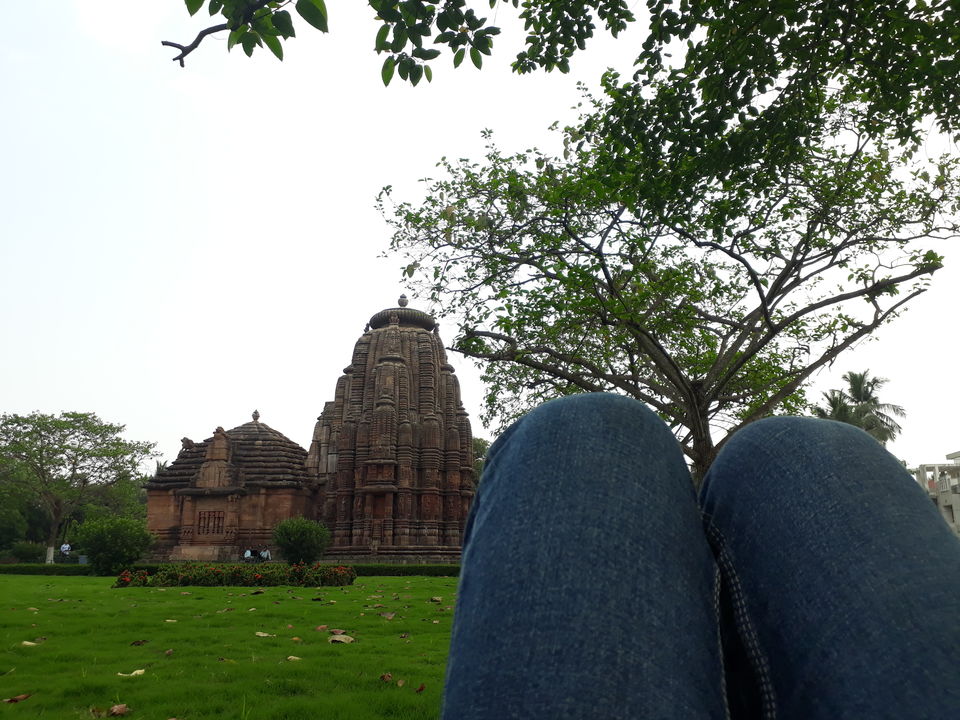 Photo of Rajarani Temple, Rajarani Colony, Rajarani Temple, Bhubaneswar, Odisha, India by Siva Prasad