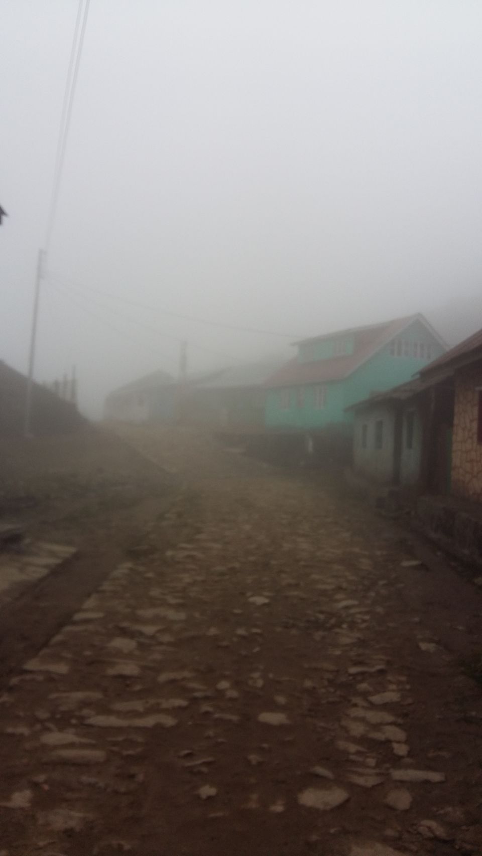 Photo of Sandakphu..Trek to remember 2/16 by crazyfeet01