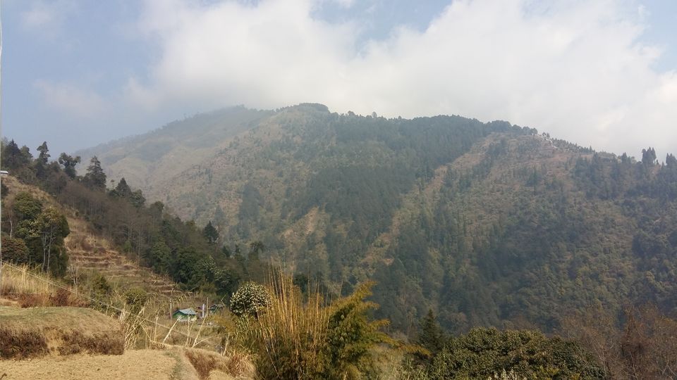 Photo of Sandakphu..Trek to remember 12/16 by crazyfeet01