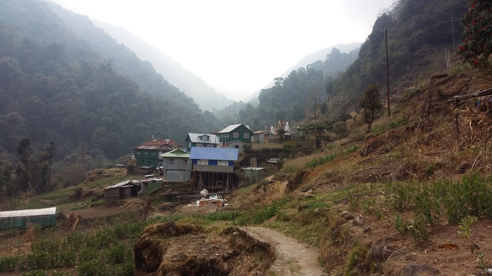 Photo of Sandakphu..Trek to remember 14/16 by crazyfeet01