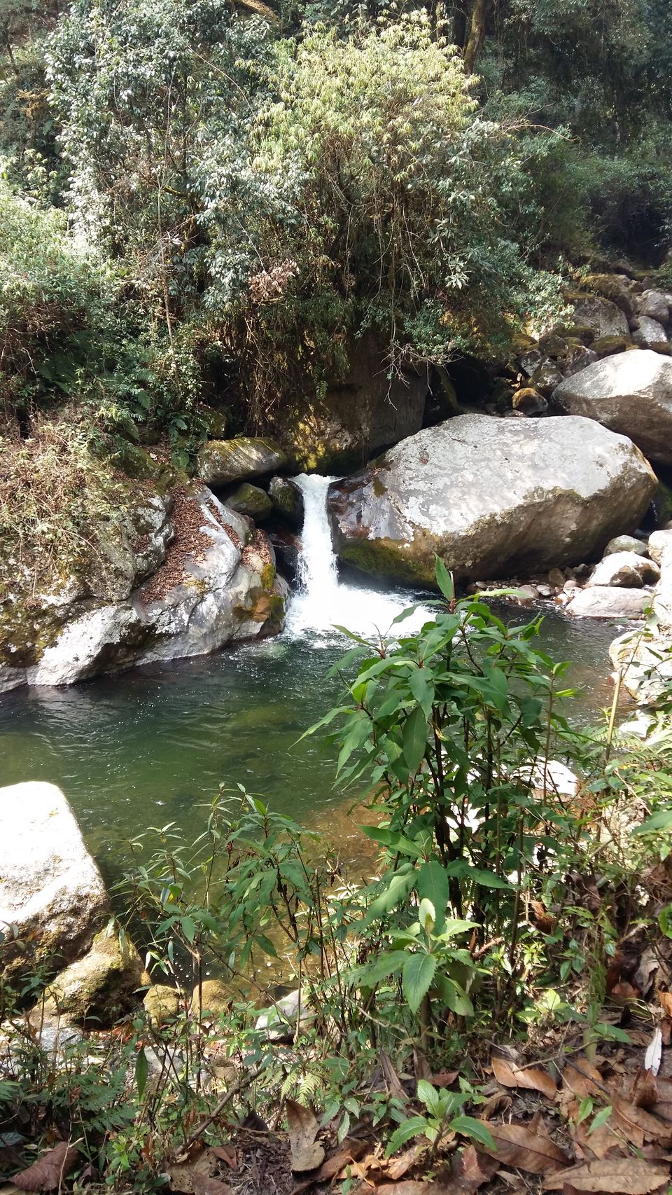 Photo of Sandakphu..Trek to remember 13/16 by crazyfeet01