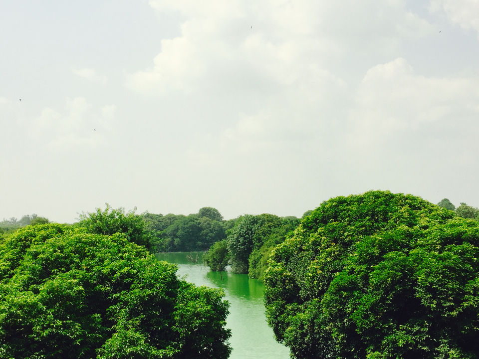 Photo of Deep In The Village by Swarnil Kaushik