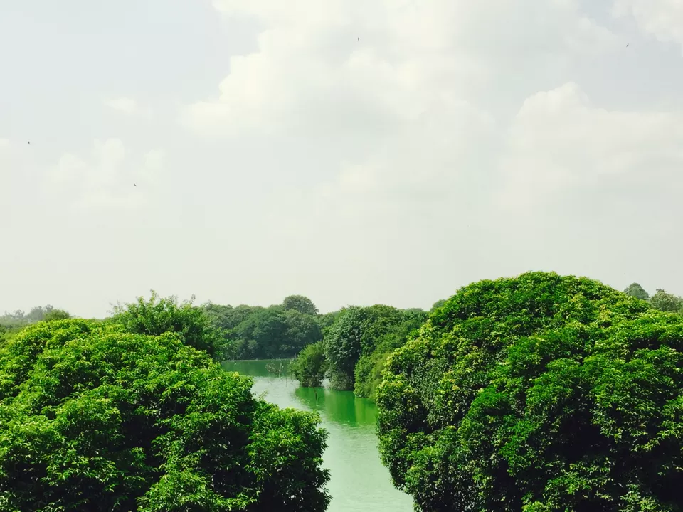 Photo of Deep In The Village by Swarnil Kaushik