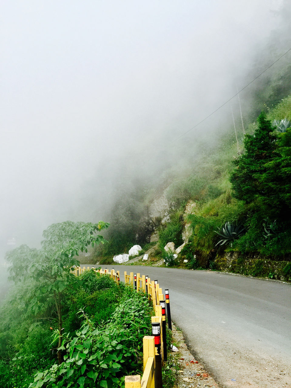 Photo of Musical Trip To Nainital by Swarnil Kaushik