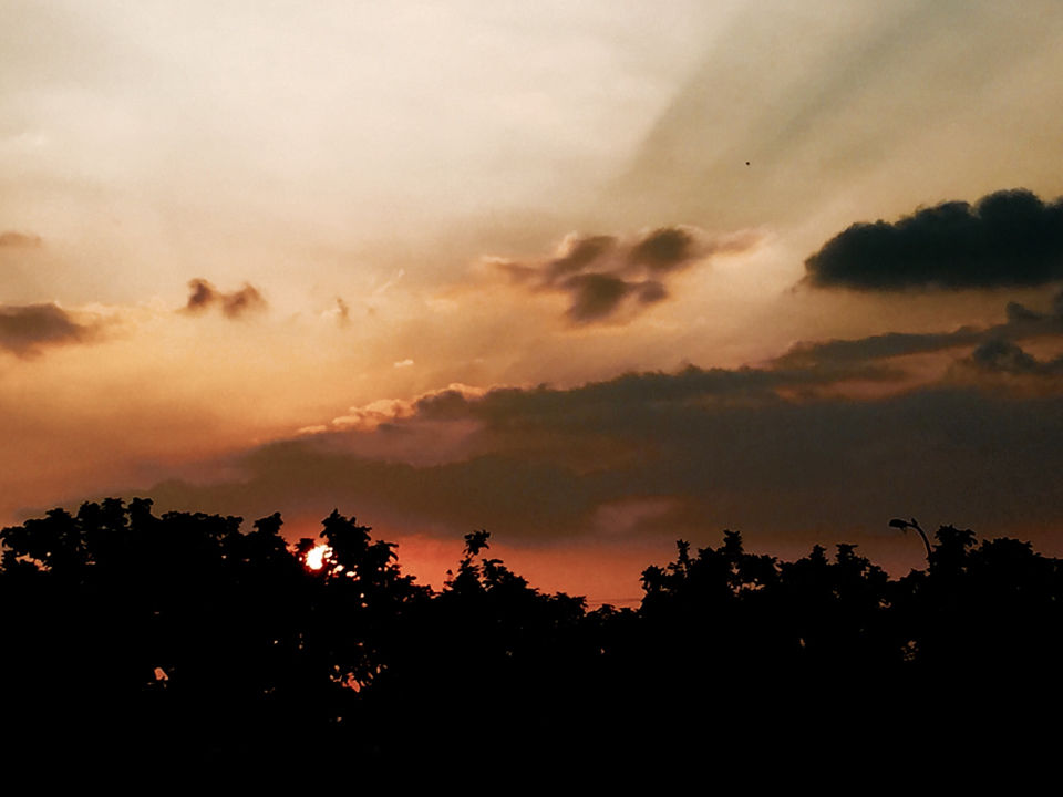 Photo of Rich By Nature - HauzKhas Village by Swarnil Kaushik