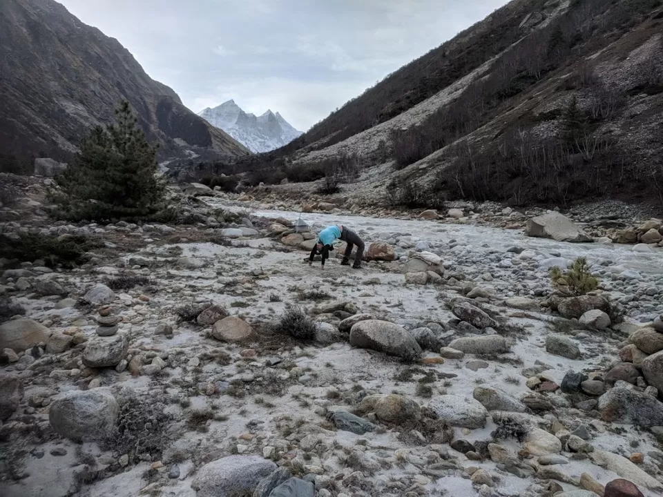 Photo of Chirwasa, Gangotri - Gaumukh Pedestrian Way, Taknaur Renge, Uttarakhand, India by Nisha Jagadesh