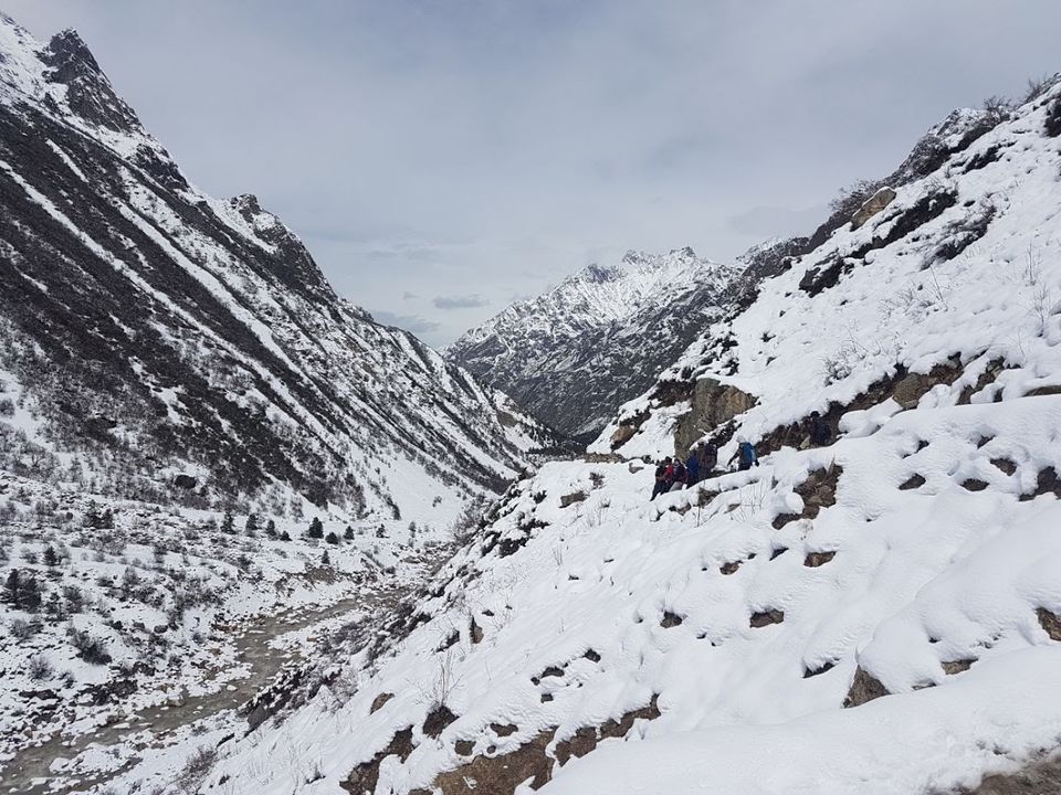 Photo of Bhojbasa, Uttarakhand by Nisha Jagadesh