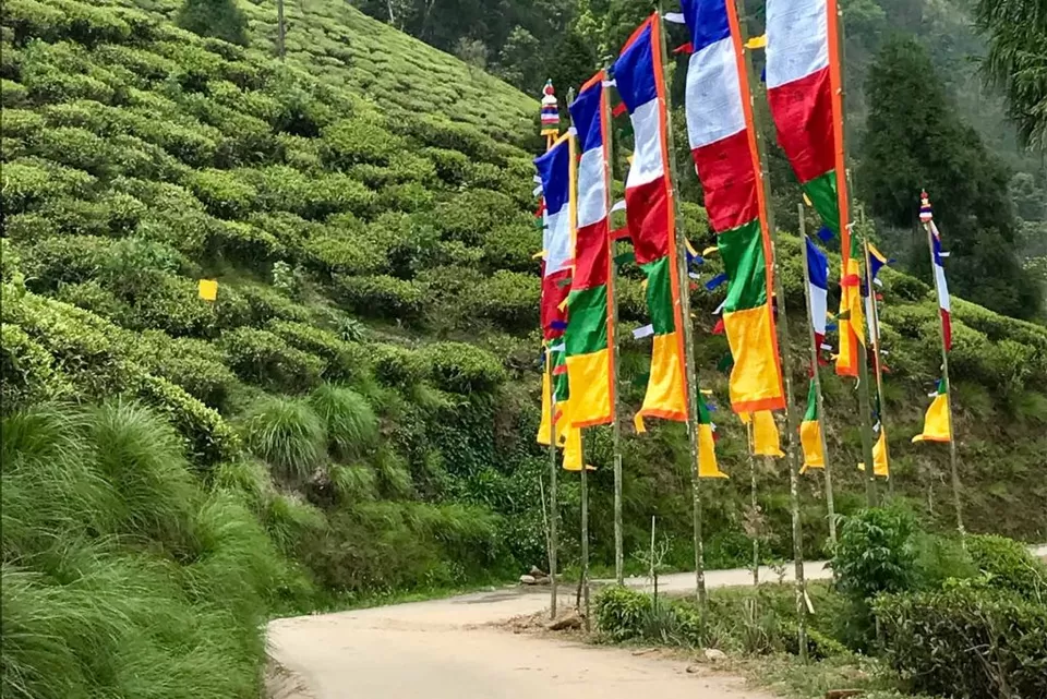 Photo of Book your Rooms in the Best Tea Estates in Darjeeling!! by Riya Dass
