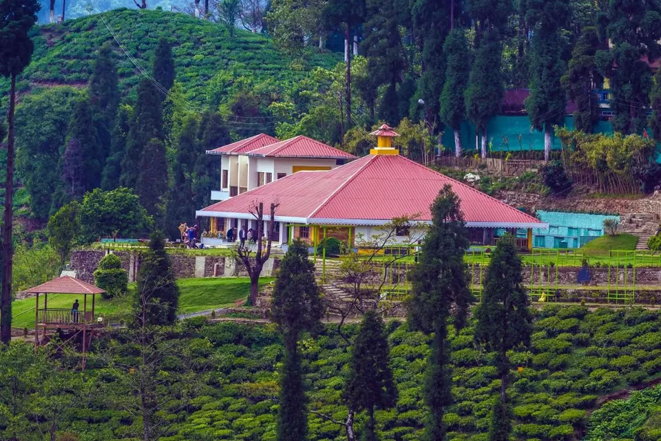 Photo of Book your Rooms in the Best Tea Estates in Darjeeling!! by Riya Dass
