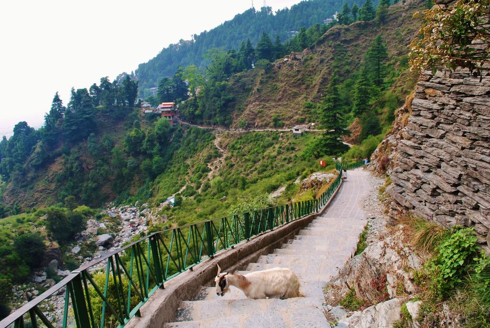Photo of Bhagsu Nag Water Fall, Himachal Pradesh by Deepak Sharma