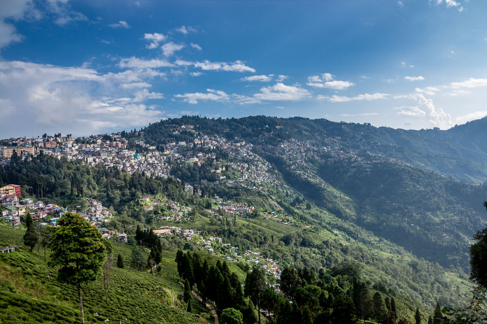 Photo of Happy Valley Tea Estate, Near, Darjeeling, West Bengal, India by Punpun