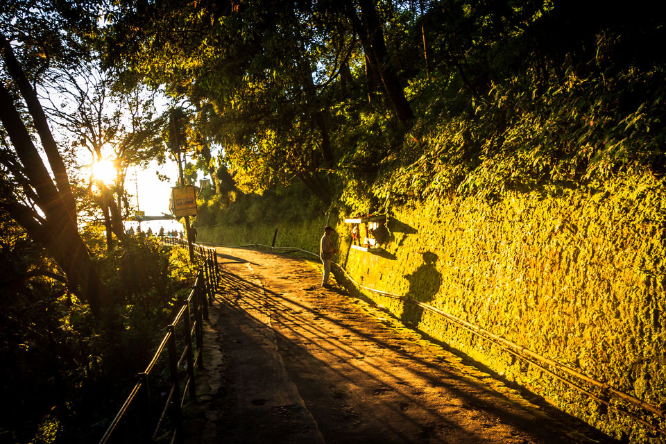 Photo of Happy Valley Tea Estate, Near, Darjeeling, West Bengal, India by Punpun