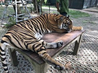 Photo of Thailand Calling…. My 7-day experience with this Paradise 10/24 by Aishwarya