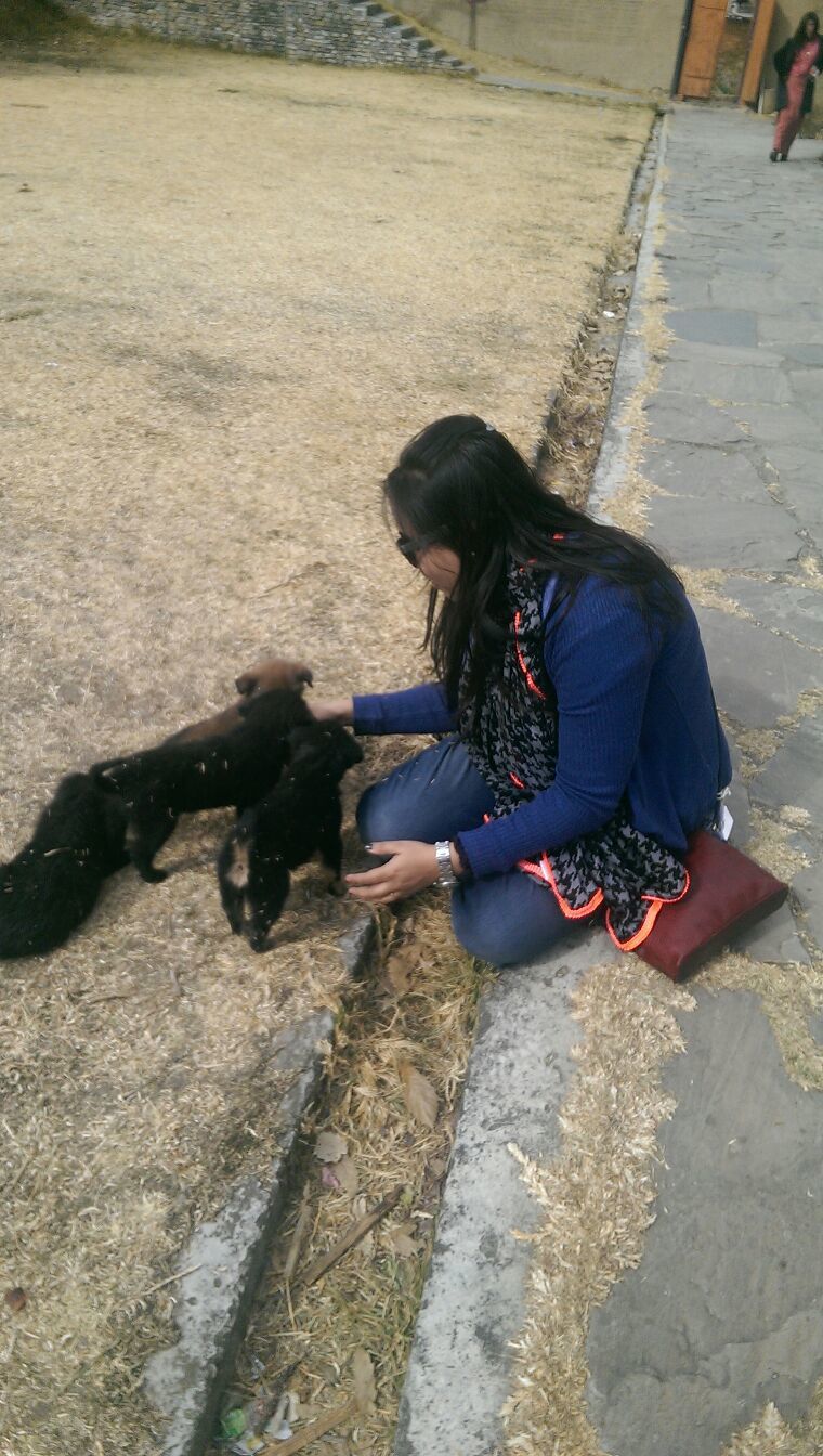 Photo of Intoxicating Solitude in the Land of Happiness- Bhutan Travel Tale by Amruta