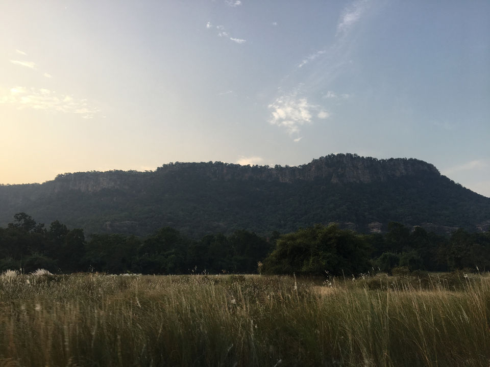 Photo of Vacation In Bandavgarh at Maati Jungle Lodge by Shrishty Patel