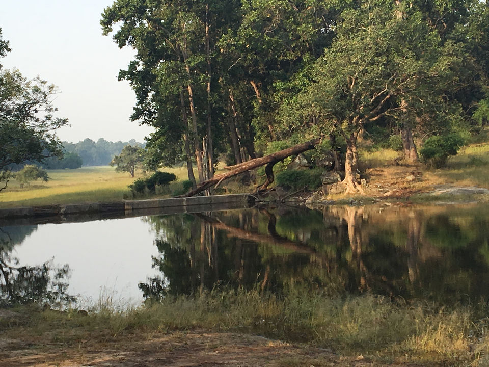 Photo of Vacation In Bandavgarh at Maati Jungle Lodge by Shrishty Patel