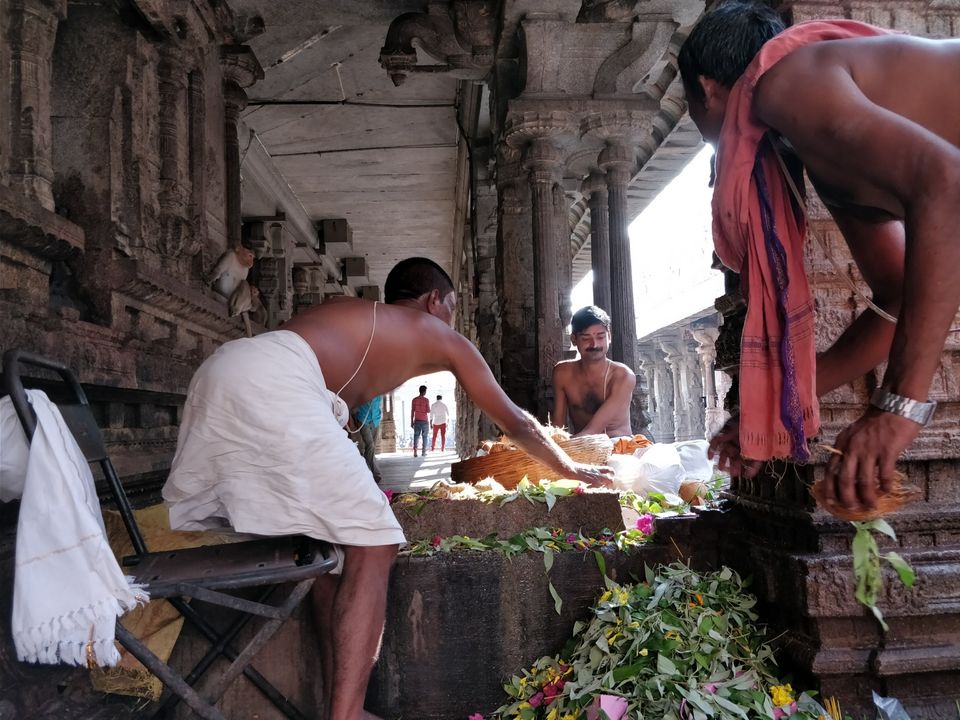 Photo of Explore India's different festivals while travelling....! by arti