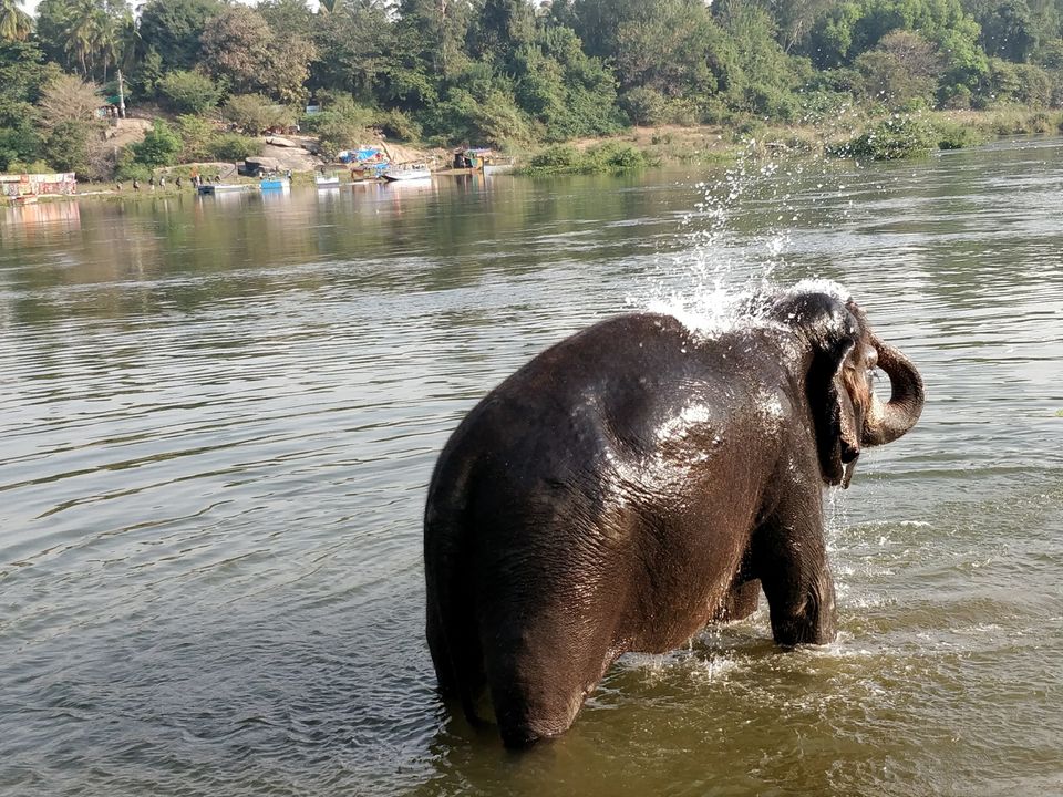 Photo of Tungabhadra River, Karnataka by arti